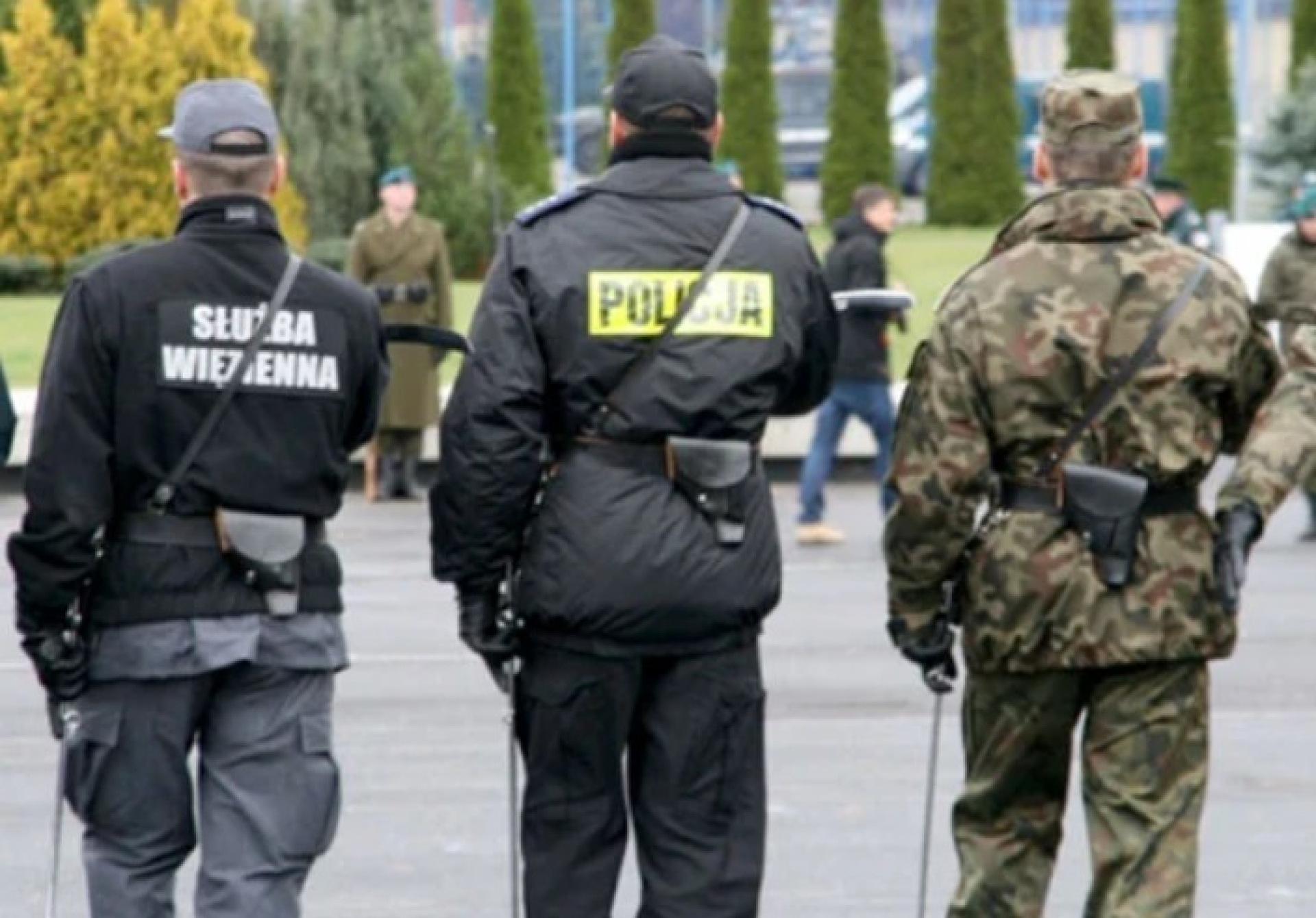 "Doradztwo zawodowe" 