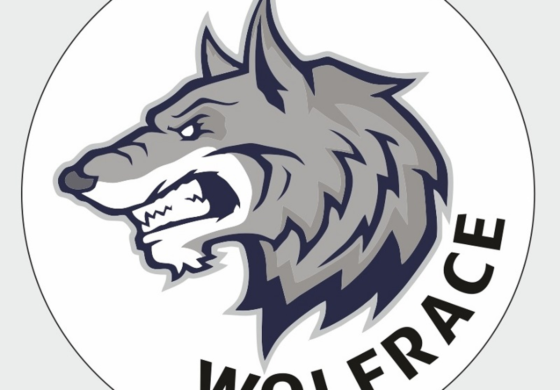 Podziękowania dla wolontariuszy