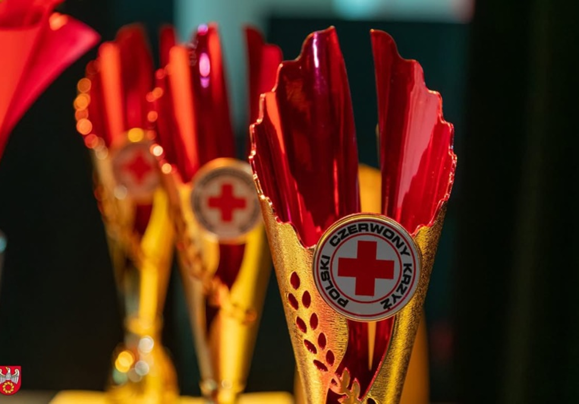 „Promocja – Młoda krew ratuje życie”